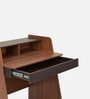 Ripple Study Table in Brown Colour