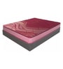 Rise Bonnell Spring & PU Foam 8 Inch King Size Mattress