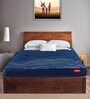 Rise 8 Inch Queen Size Bonnell Spring & PU Foam Mattress