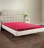 Rise Puf 5 Inch EPF Foam Mattress InSingle Size