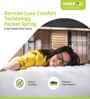 Riserox 10 inch Pocketed Spring Single Mattress with Zero Partner Disturbance