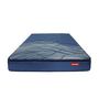 Riseup 7 inch Bonnell Spring King Size Mattress