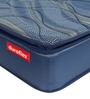 Riseup 7 inch Bonnell Spring King Size Mattress