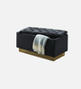 Riviera Fabric Signature Storage Ottoman Ottoman in Black Colour