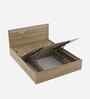 Rivolla Queen Size Bed With Hydraulic Storage In Santana Oak & Bamboo Flute Finish