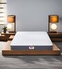 Rizewell Silky Soft  with NPSS Tech 6 Inch Pocket Spring & Fibre Queen Size Mattress
