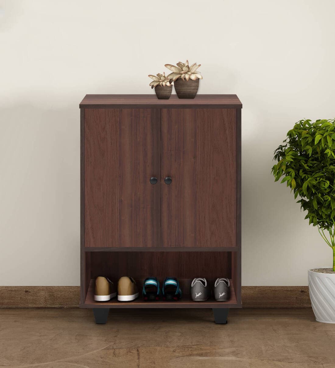 Cosmos 2 Door Shoe Cabinet In Brown Finish