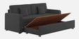 Rocky Fabric 3 Seater Pull Out Sofa Cum Bed In Charcoal Grey Colour With Storage