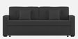 Rocky Fabric 3 Seater Pull Out Sofa Cum Bed In Charcoal Grey Colour With Storage