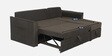 Rogelio Fabric LHS Pull Out Sofa Cum Bed In Chestnut Brown Colour With Storage