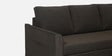 Rogelio Fabric LHS Pull Out Sofa Cum Bed In Chestnut Brown Colour With Storage