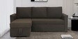 Rogelio Fabric RHS Pull Out Sofa Cum Bed In Chestnut Brown Colour With Storage