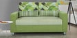 Rosetta 2 Seater Sofa in Green & Cream colour
