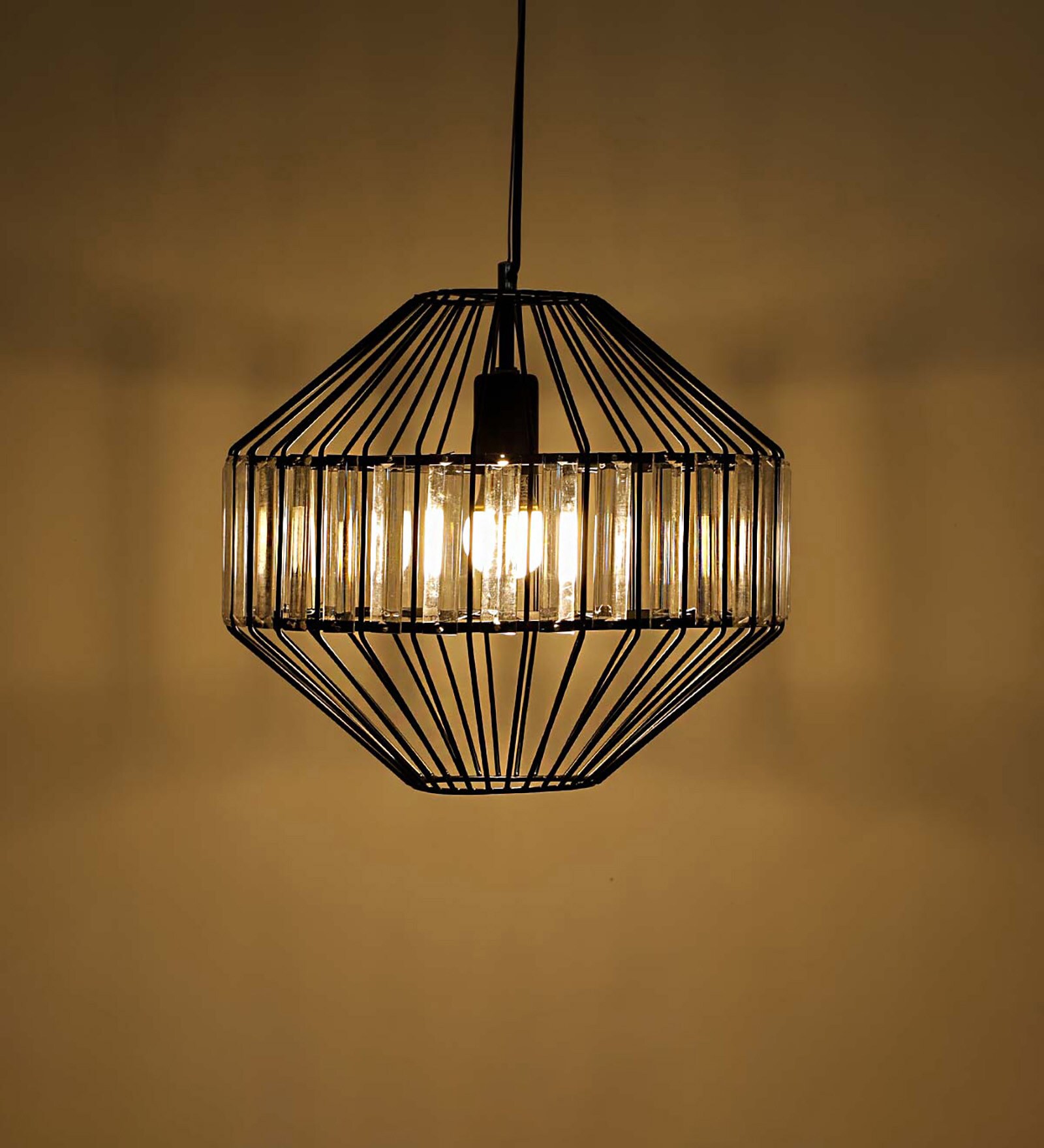 Rolenne Black Mild Steel Hanging Light