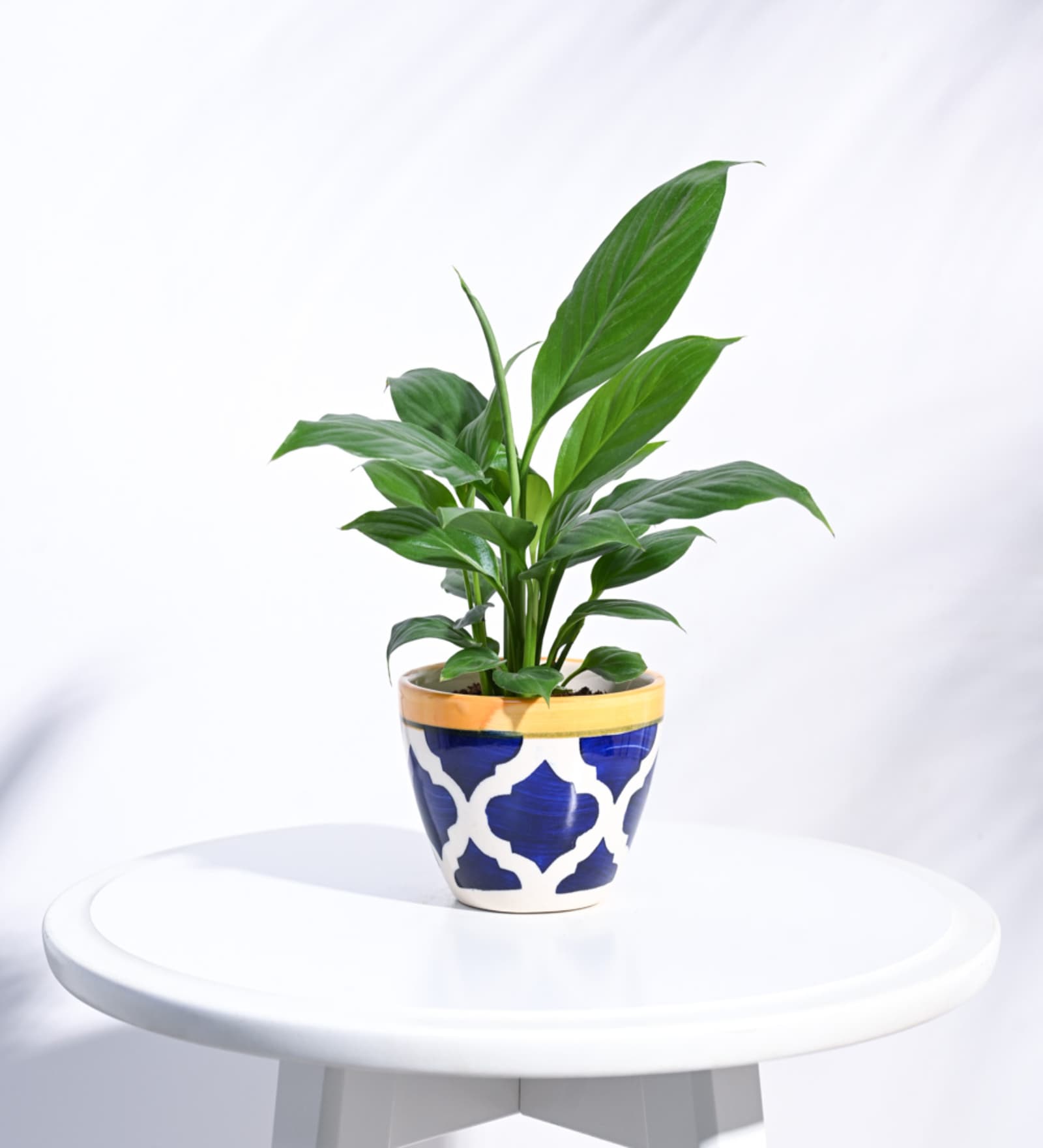 Rose Blue Ceramic Apple Shape Desk Pot Desk Pot