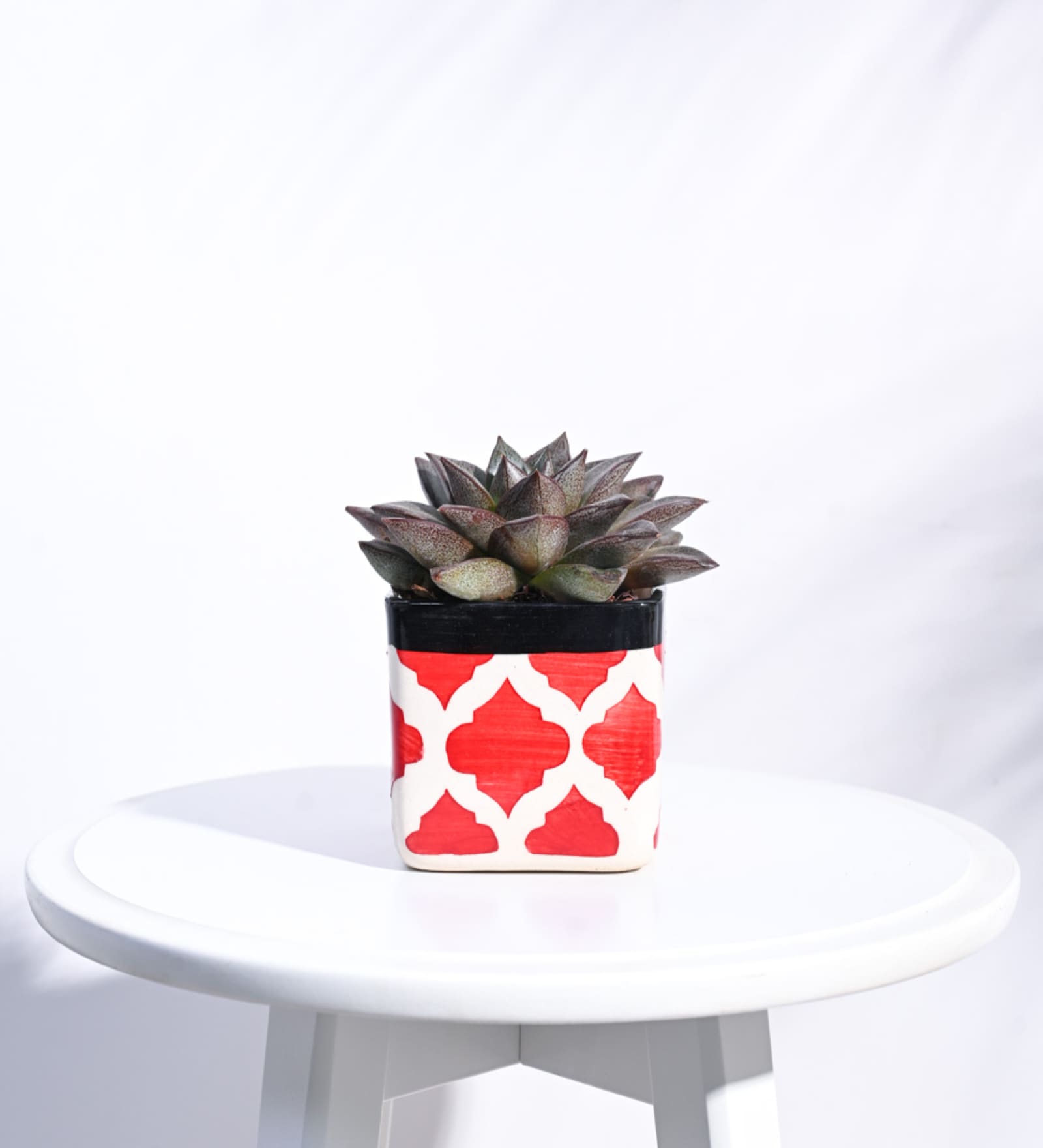 Rose Red Ceramic Square Shape Desk Pot Planter