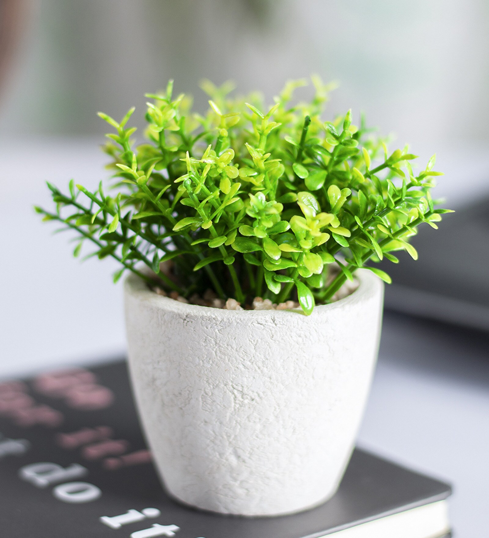 Round Plastic Flower With Pot