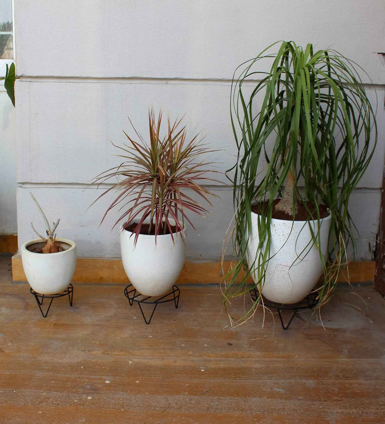 Round Shape Pack of 4 Black Metal Floor Planter Stand