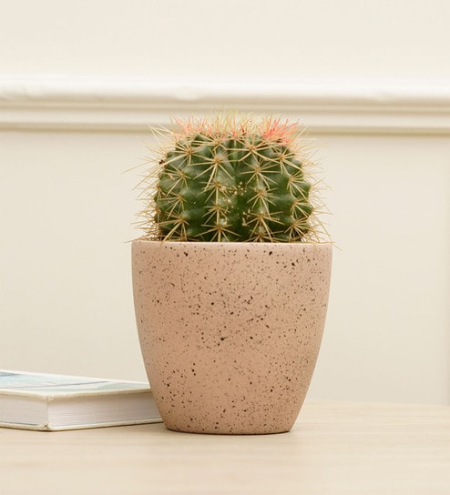 Marabelle Rose Gold Terracotta Desk Pot by Purezento