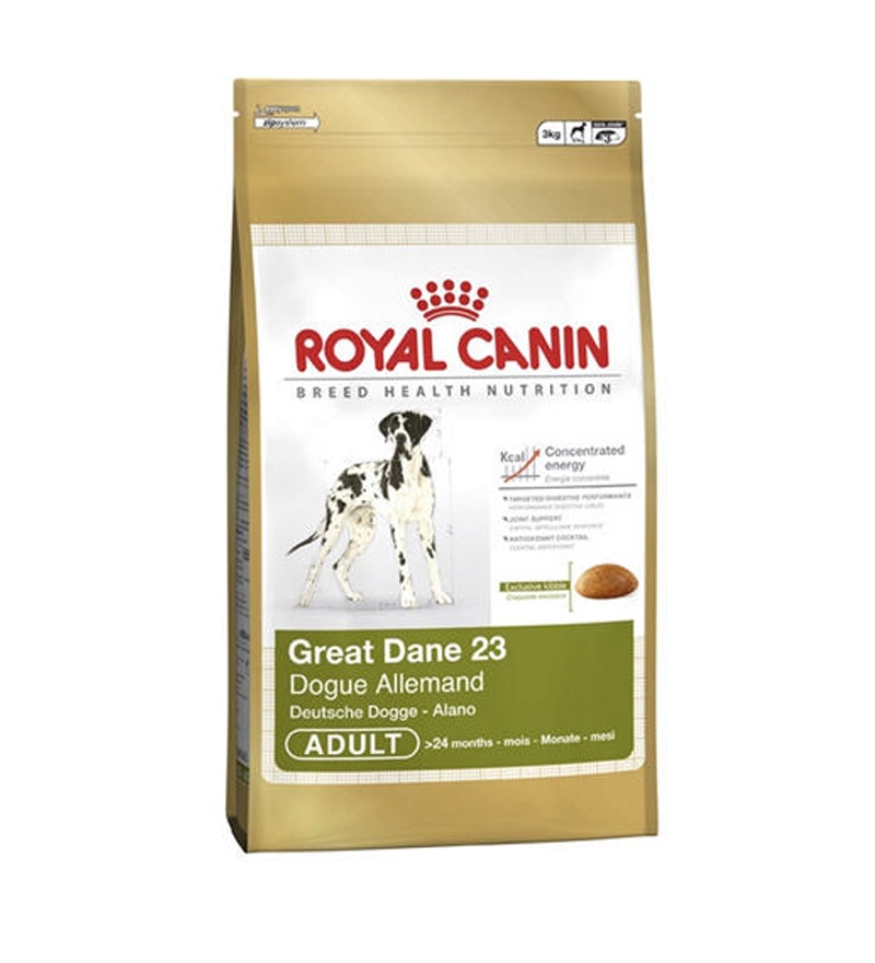 royal canin great dane adult