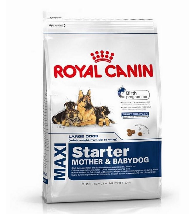 royal canin puppy maxi starter