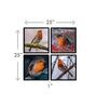Robin Orange Engineered Wood Framed Wildlife Art Print Set of 4