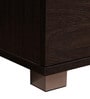 Robust TV Console in Dark Brown Color