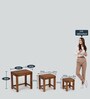 Rochester Solid Wood Nest of Tables in Natural Finish (Set Of 3)