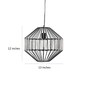 Rolenne Black Mild Steel Hanging Light