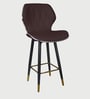 Rolex High Counter Bar Stool in Brown Colour