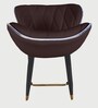 Rolex High Counter Bar Stool in Brown Colour