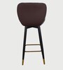 Rolex High Counter Bar Stool in Brown Colour