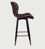 Rolex High Counter Bar Stool in Brown Colour