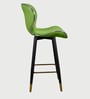 Rolex High Counter Bar Stool in Green Colour