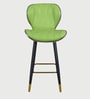 Rolex High Counter Bar Stool in Green Colour