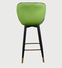 Rolex High Counter Bar Stool in Green Colour