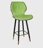 Rolex High Counter Bar Stool in Green Colour