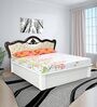 Rolex King Size Bed in White Finish with Hydraulic Storage