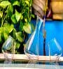 Rolly Polly  1000Ml Borosilicate Glass  Decanters with 2 Glasses