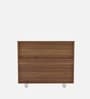 Ronald Filo Cabinet in Leon Teak Finish