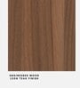 Ronald Meg 2 Door Wardrobe in Leon Teak Finish