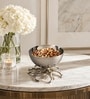 Root Nut Bowl
