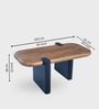 Rooted Modern Center Table In Solid Wood Finish