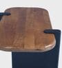 Rooted Modern Center Table In Solid Wood Finish
