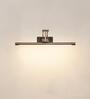 Rosalyn Adjustable LED Metal Picture Light (Black)