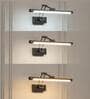 Rosalyn Adjustable LED Metal Picture Light (Black)