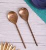 Rose Gold Serving Spoons Set of Two