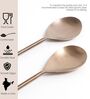 Rose Gold Serving Spoons Set of Two