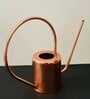 Rose Gold Stainless Steel 2.5 Ltrs Multipurpose Long Spout Watering Can Gardening Tool