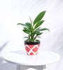 Rose Red Ceramic Apple Shape Desk Pot Planter